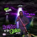 Snakes In The Grass Mixtape Mixed By DJ UFO